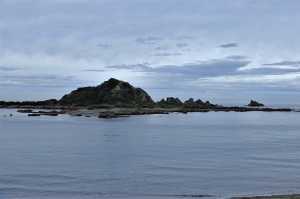 OWHIRO-BAY (10)